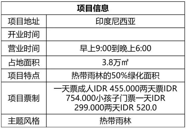 巴厘島水上樂園項目信息